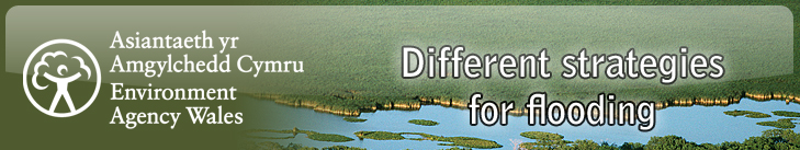 Different strategies for flooding